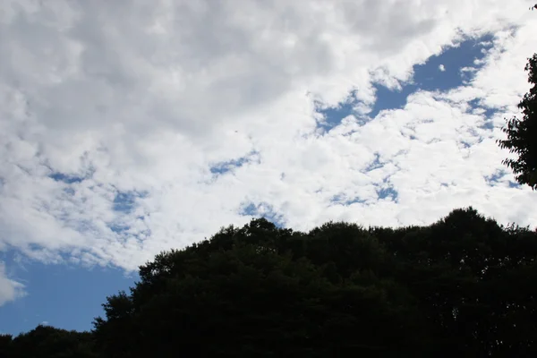 Sky cloud, zonlicht, zonsopkomst — Stockfoto